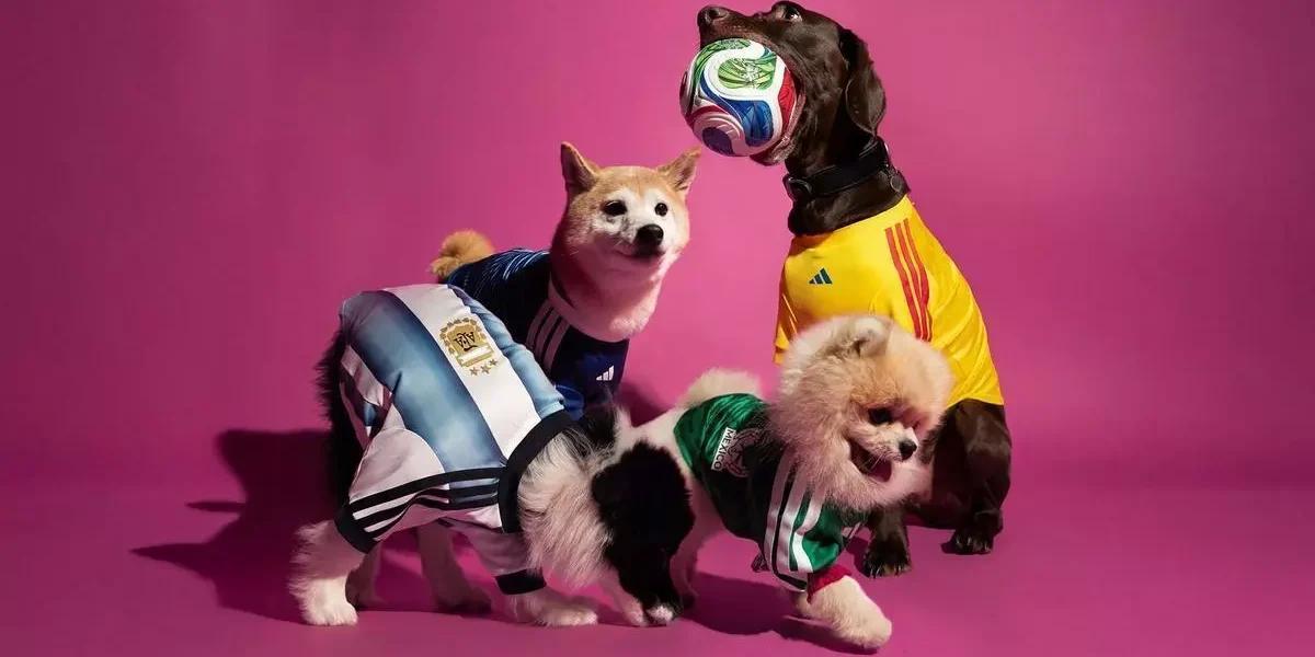 Perros vistiendo camisetas de Argentina, Colombia y México