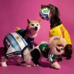 Perros vistiendo camisetas de Argentina, Colombia y México